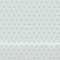 Perforated Range - 101P